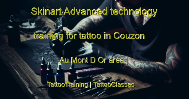 Skinart Advanced technology training for tattoo in Couzon Au Mont D Or area | TattooTraining | TattooClasses | SkinartTraining-France